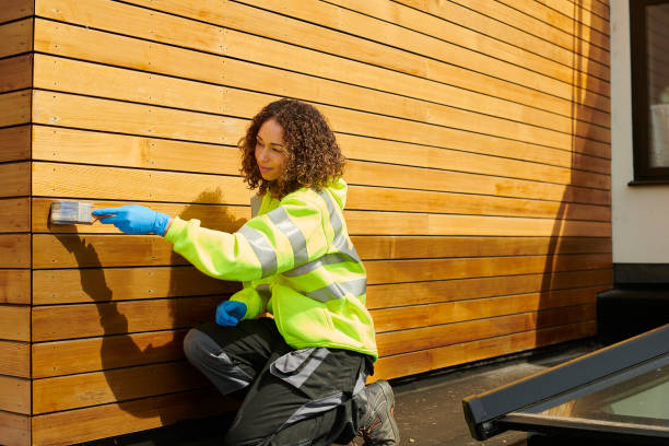 Best Siding Painting and Refinishing  in Dulce, NM